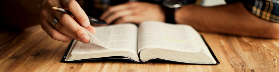 bible devotion