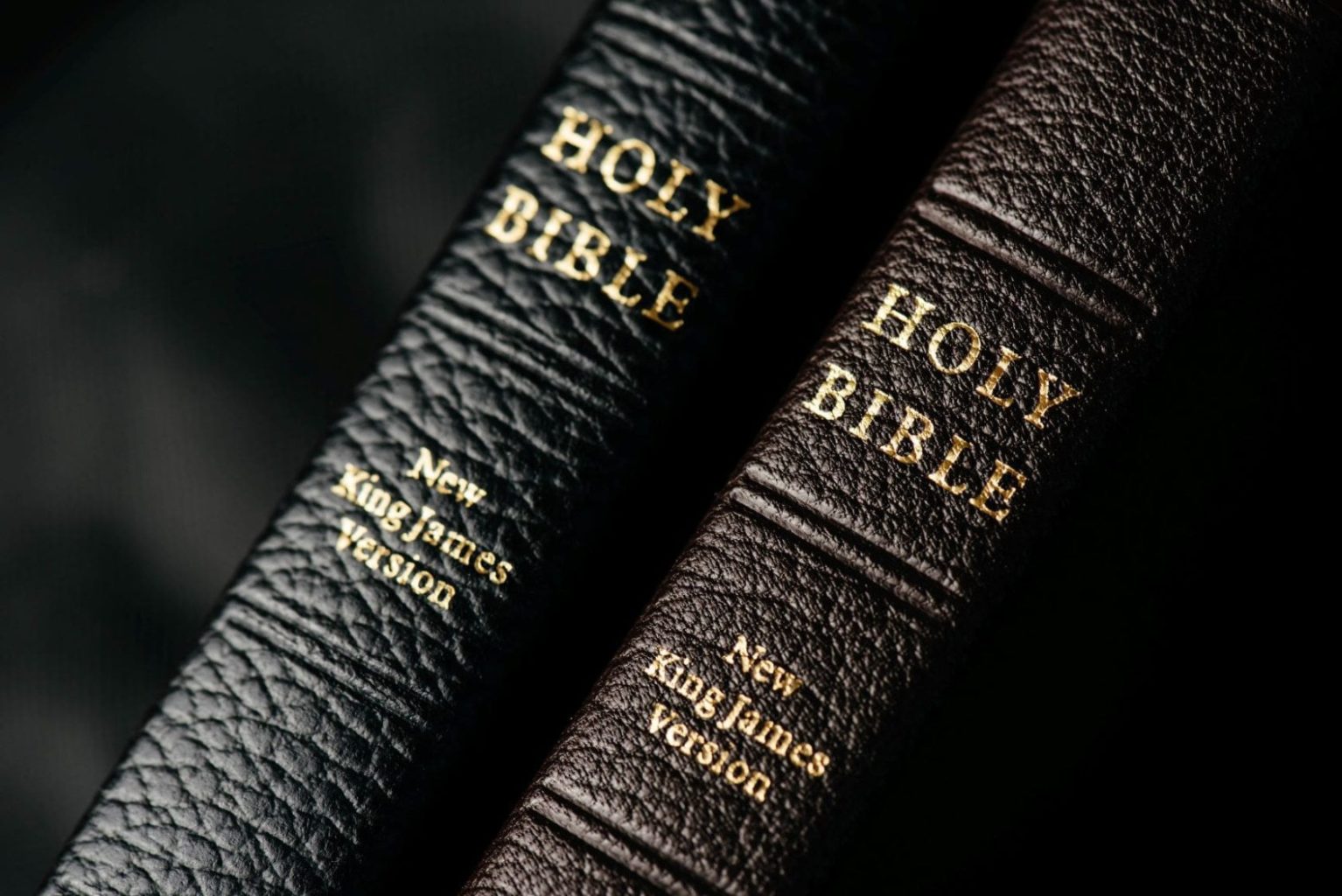 Walking Through the Bible 2024